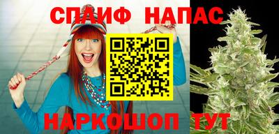 кокаин Гатчина